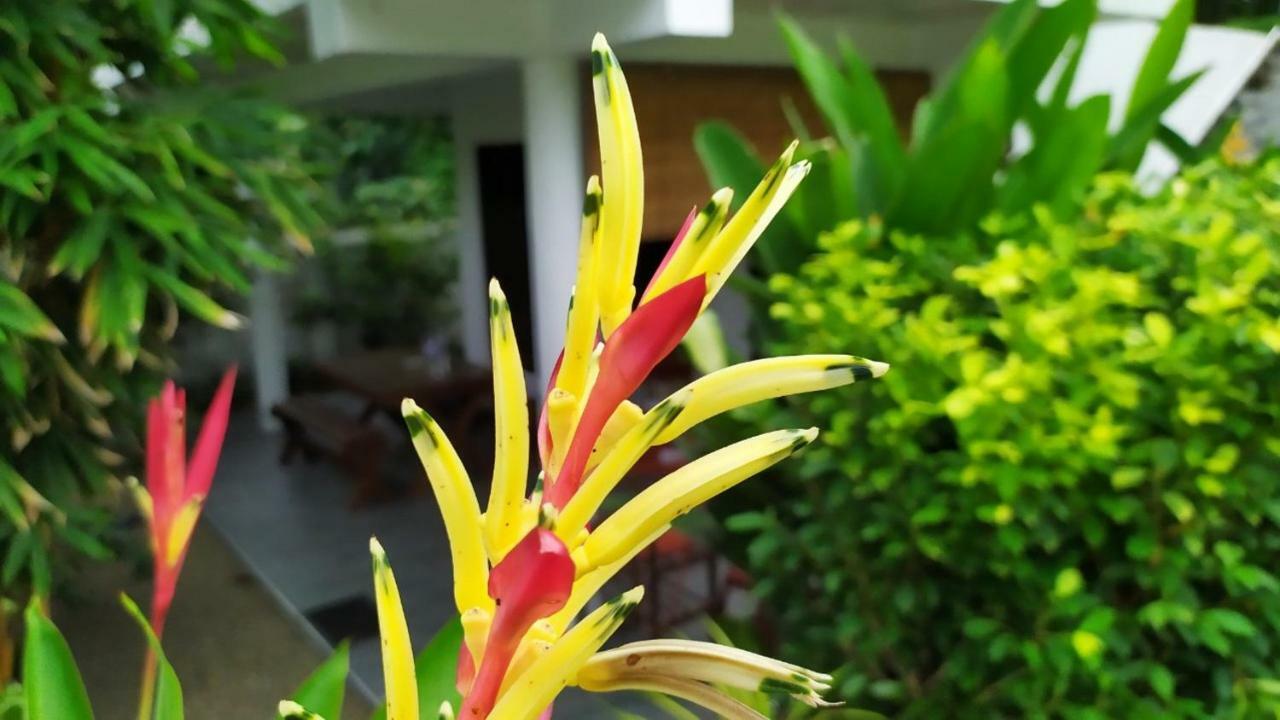 Sunbeam Villa Tangalle Luaran gambar